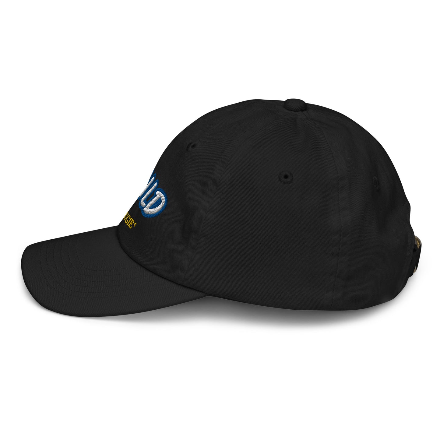 Idlewild Youth baseball cap